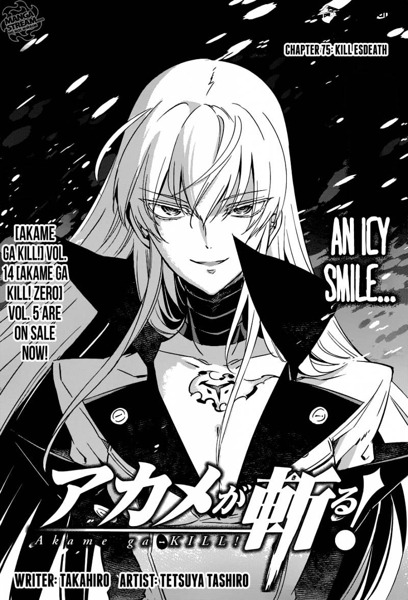 Read Akame ga Kill! chapter 75 image 2 on Lezhin