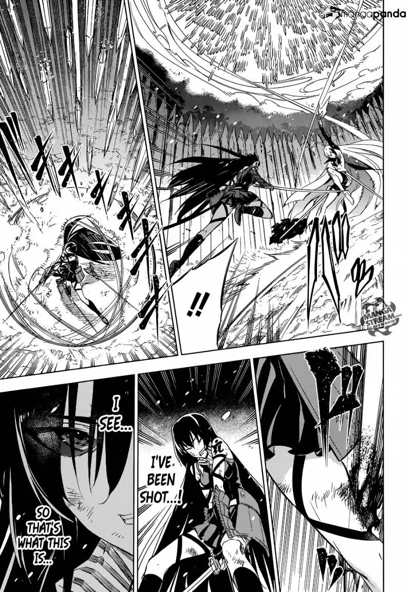 Read Akame ga Kill! chapter 77 image 17 on Lezhin