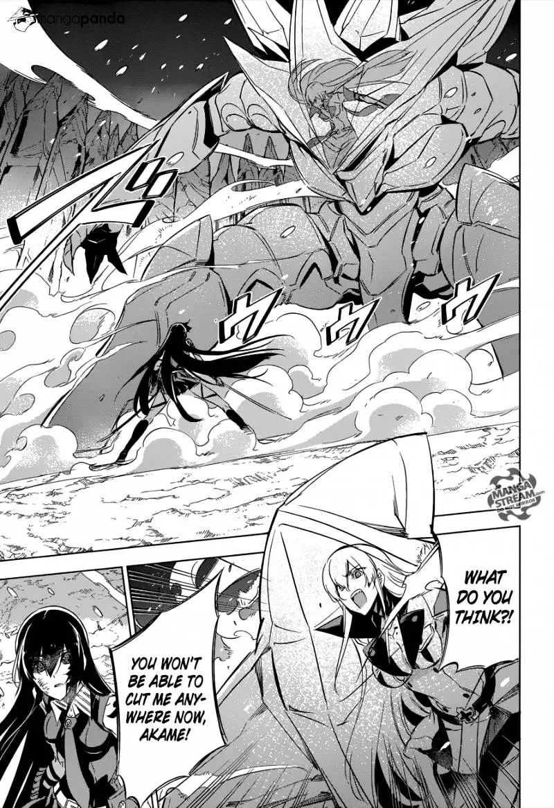 Read Akame ga Kill! chapter 77 image 25 on Lezhin