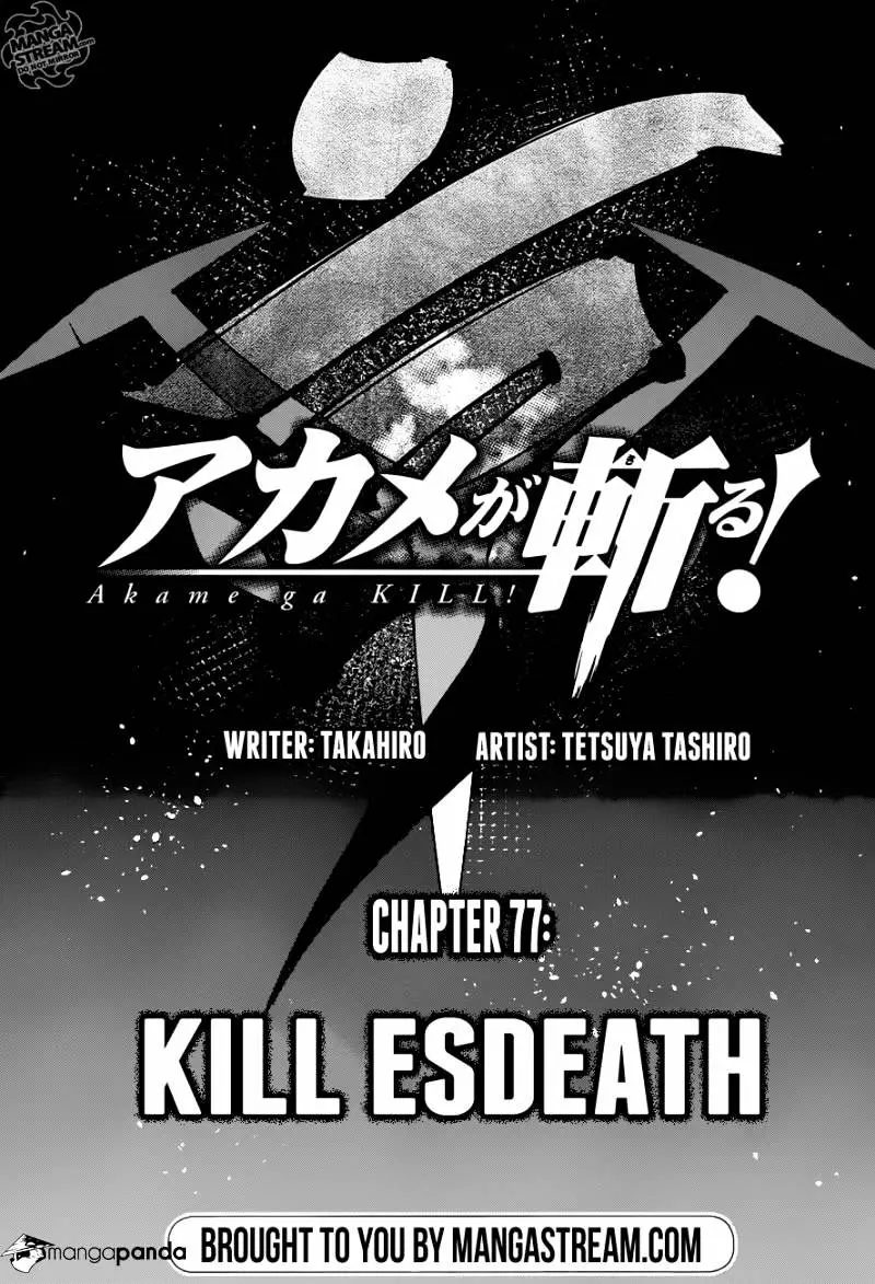 Read Akame ga Kill! chapter 77 image 4 on Lezhin