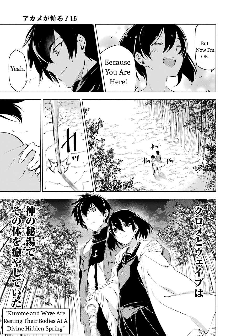 Read Akame ga Kill! chapter 78.5 image 6 on Lezhin