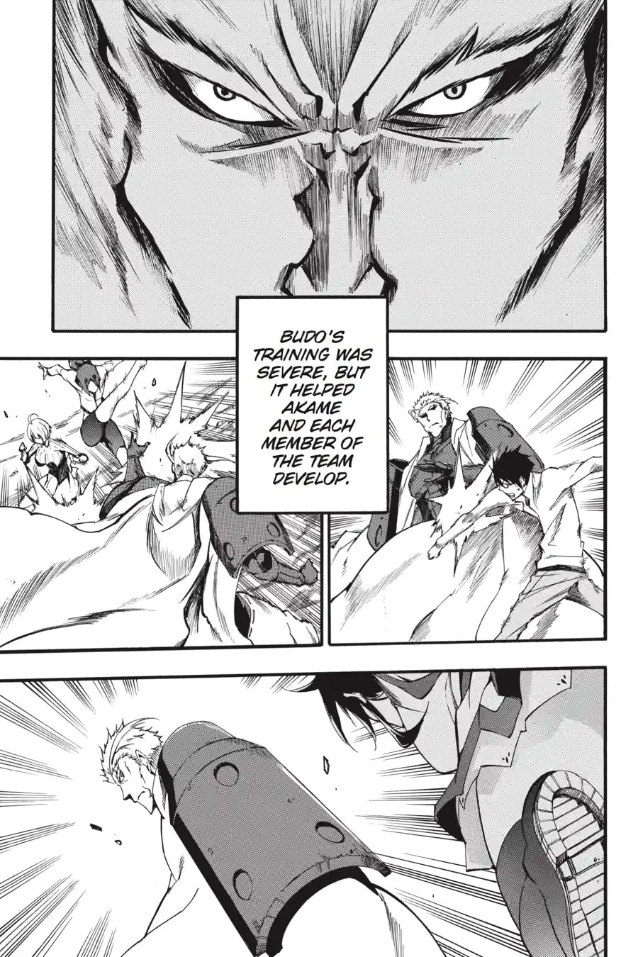 Read Akame ga Kiru! Zero chapter 44.3 image 1 on Lezhin