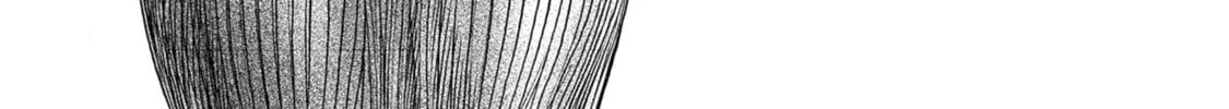 Read Akebi