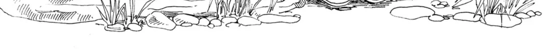 Read Akebi