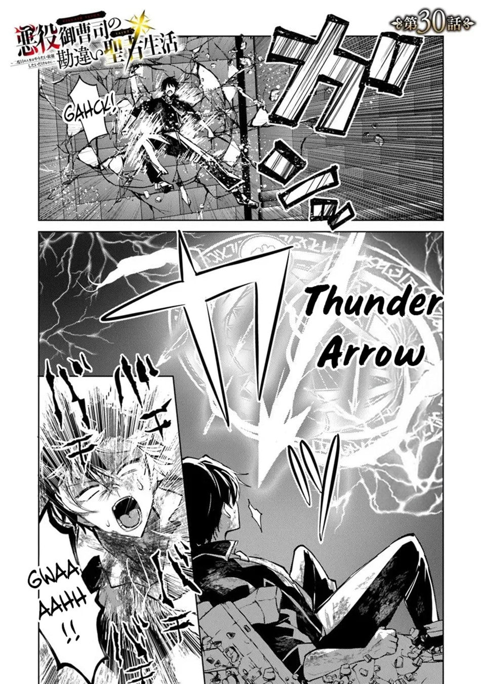 Akuyaku Onzoushi no Kanchigai Seija Seikatsu - Nidome no Jinsei wa Yaritai Houdai Shitai Dake na no ni Chapter 30 page 2 - 