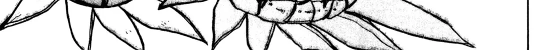 Read Alien Nine chapter 26 image 31 on Lezhin