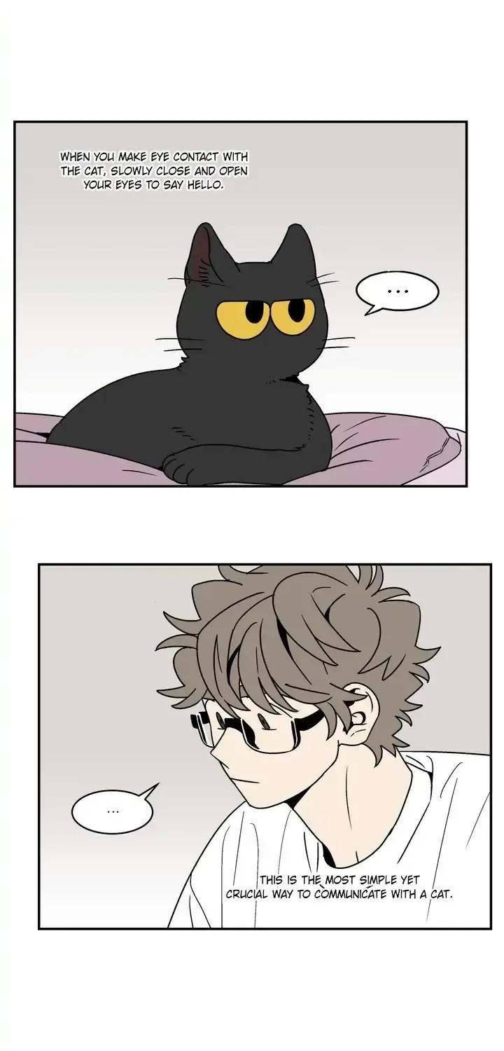Read All About Lust: Where We Started chapter 60.08 image 29 on Lezhin