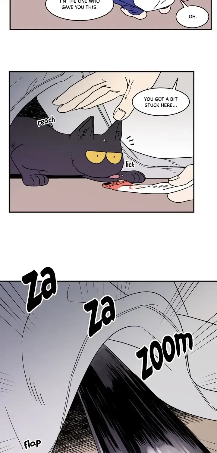 Read All About Lust: Where We Started chapter 60.08 image 35 on Lezhin