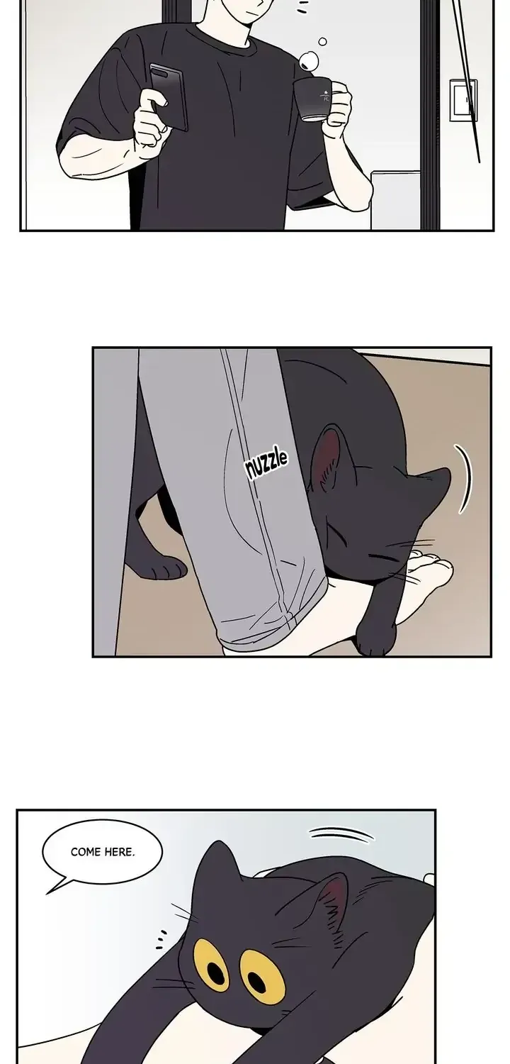 Read All About Lust: Where We Started chapter 60.09 image 4 on Lezhin