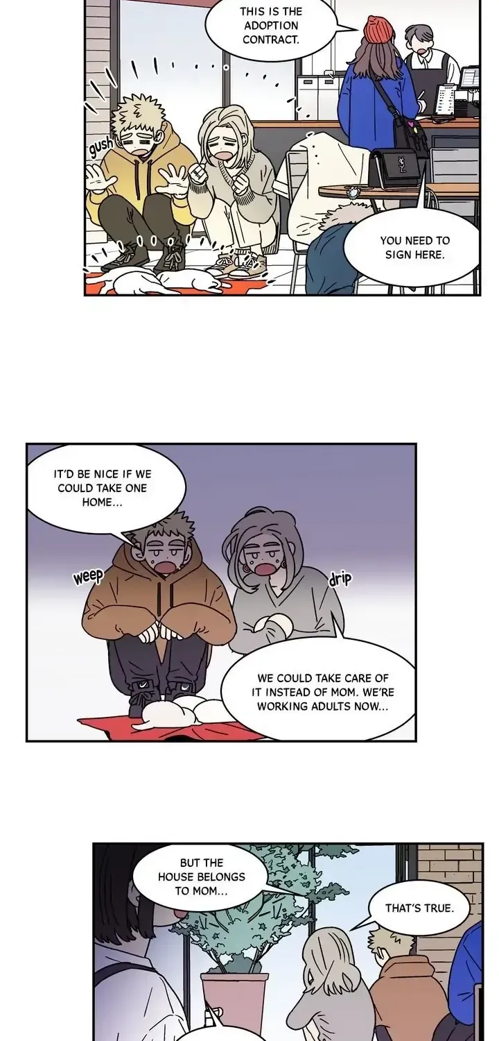 Read All About Lust: Where We Started chapter 60.19 image 27 on Lezhin