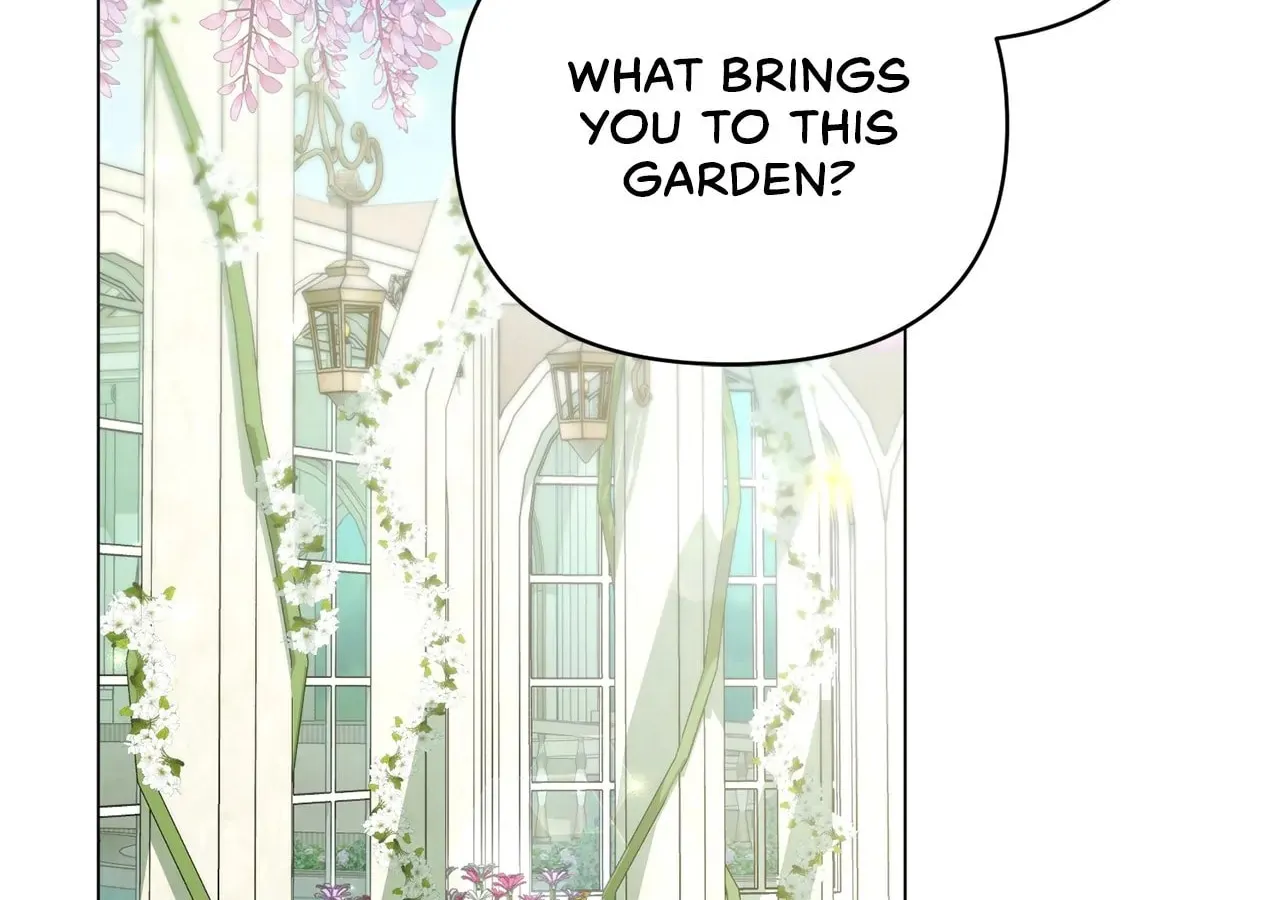 Read All for My Dearest Juliet chapter 2 image 13 on Lezhin