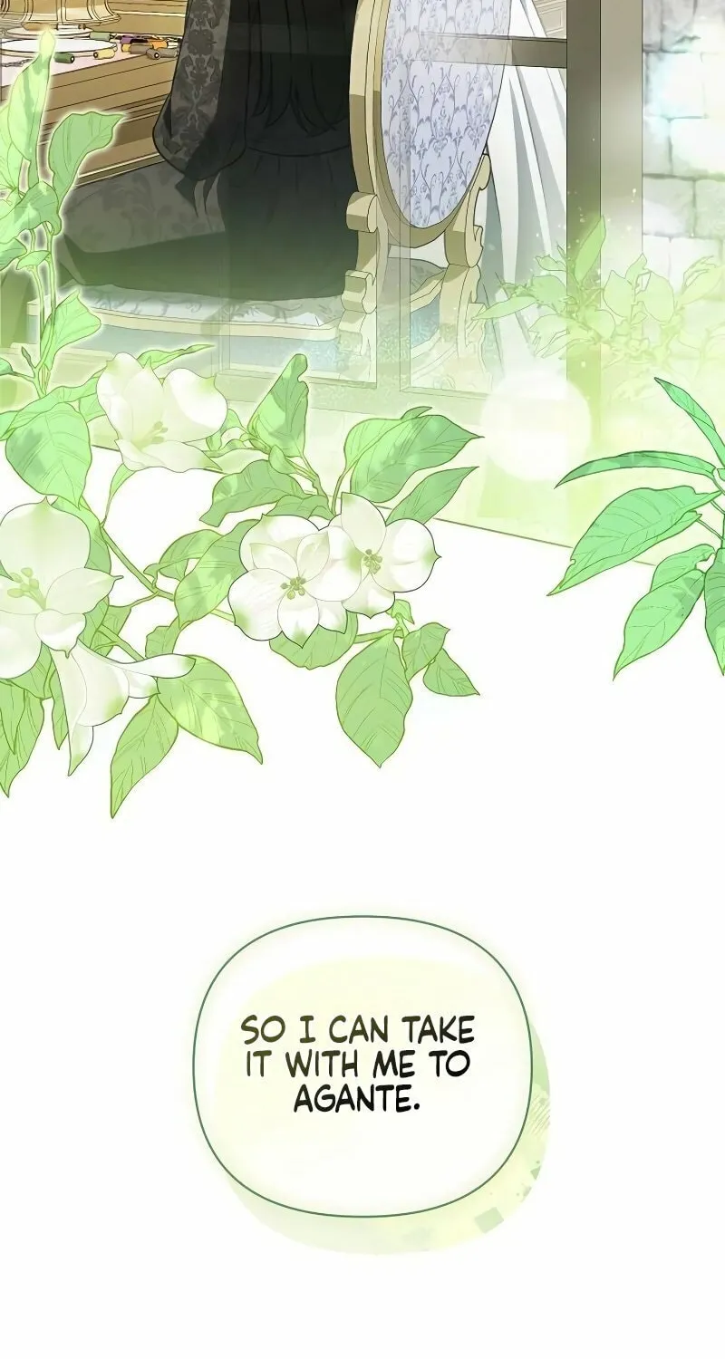 Read All for My Dearest Juliet chapter 52 image 36 on Lezhin