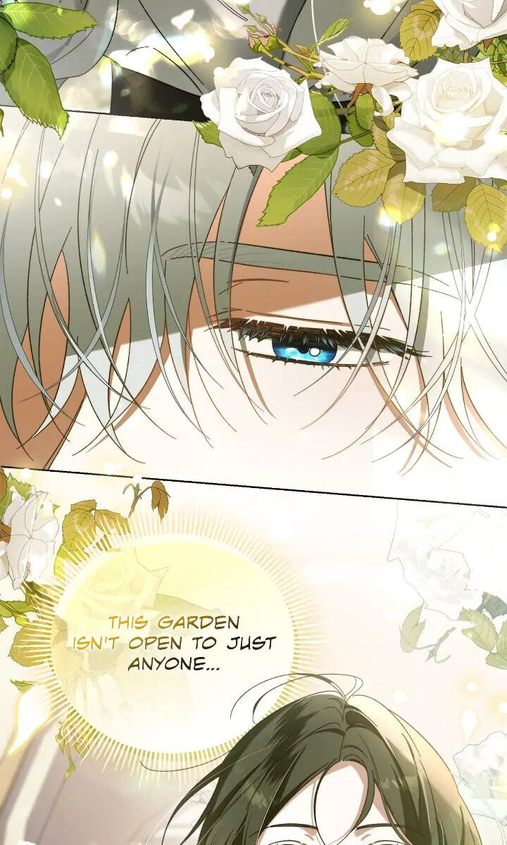 All for My Dearest Juliet Chapter 1 page 100 - 