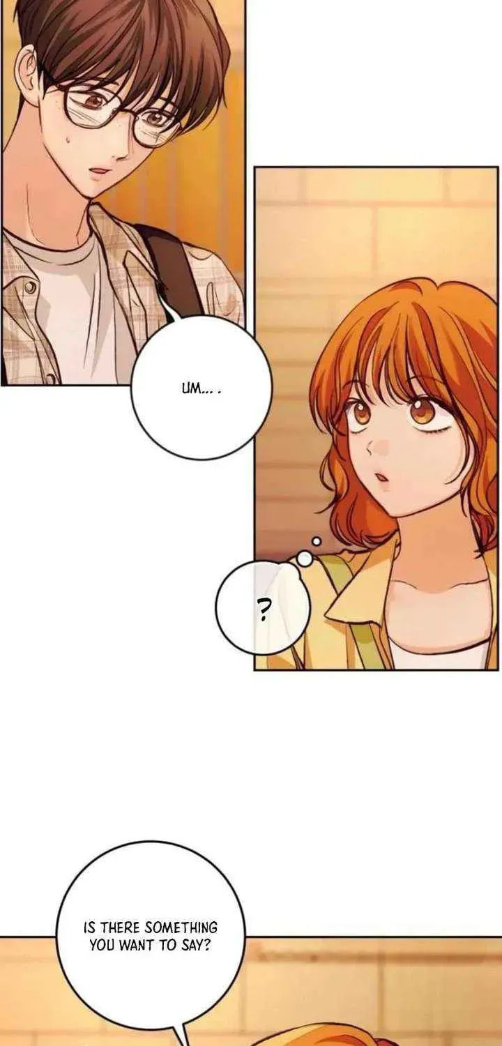 Read All You Need Is Perfection chapter 38 image 3 on Lezhin