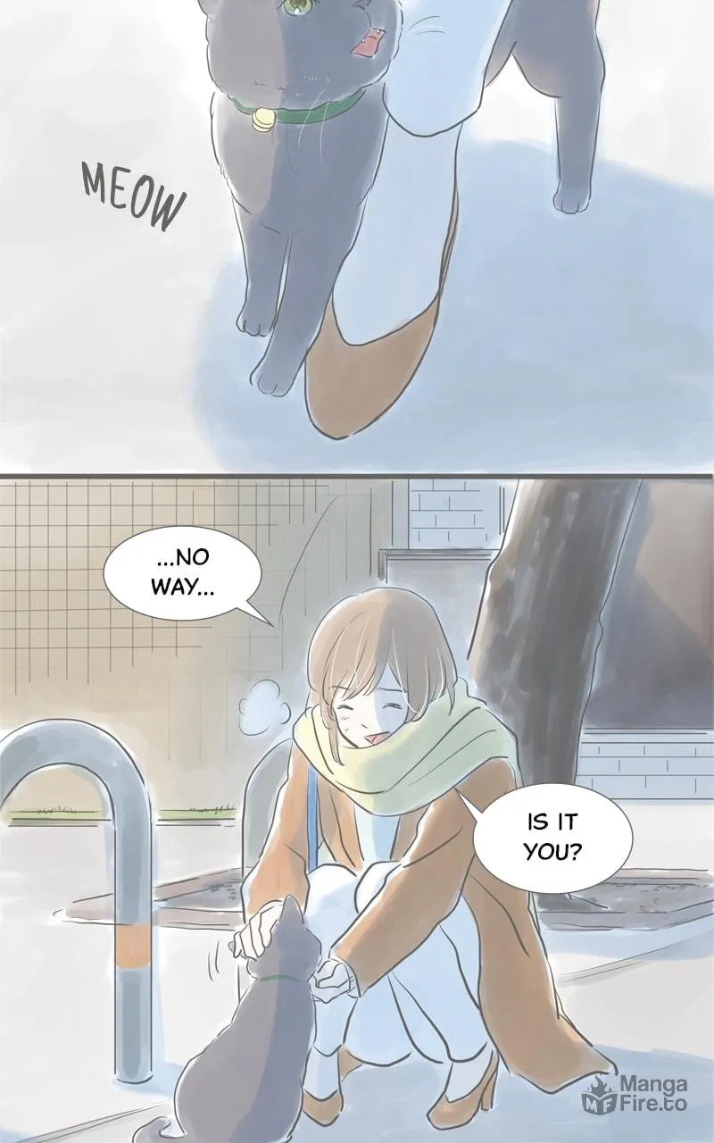 Read Amid the Changing Seasons chapter 11 image 20 on Lezhin