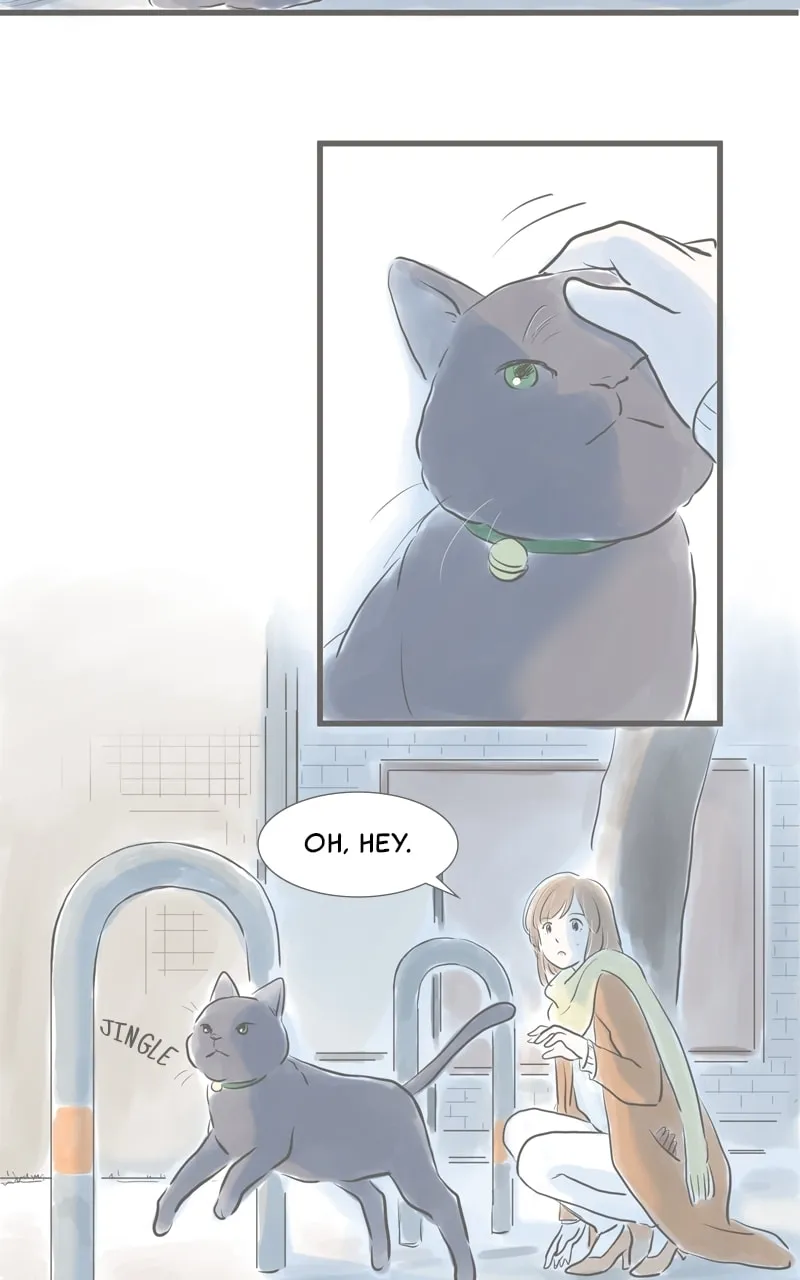Read Amid the Changing Seasons chapter 11 image 21 on Lezhin