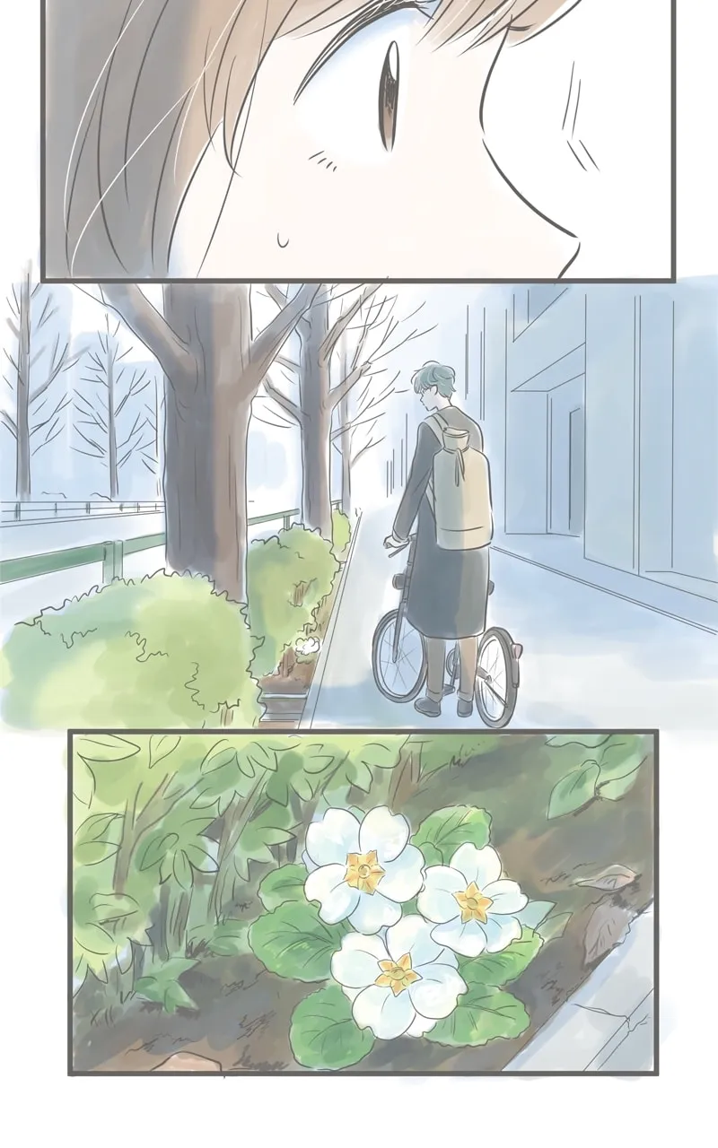 Read Amid the Changing Seasons chapter 11 image 3 on Lezhin