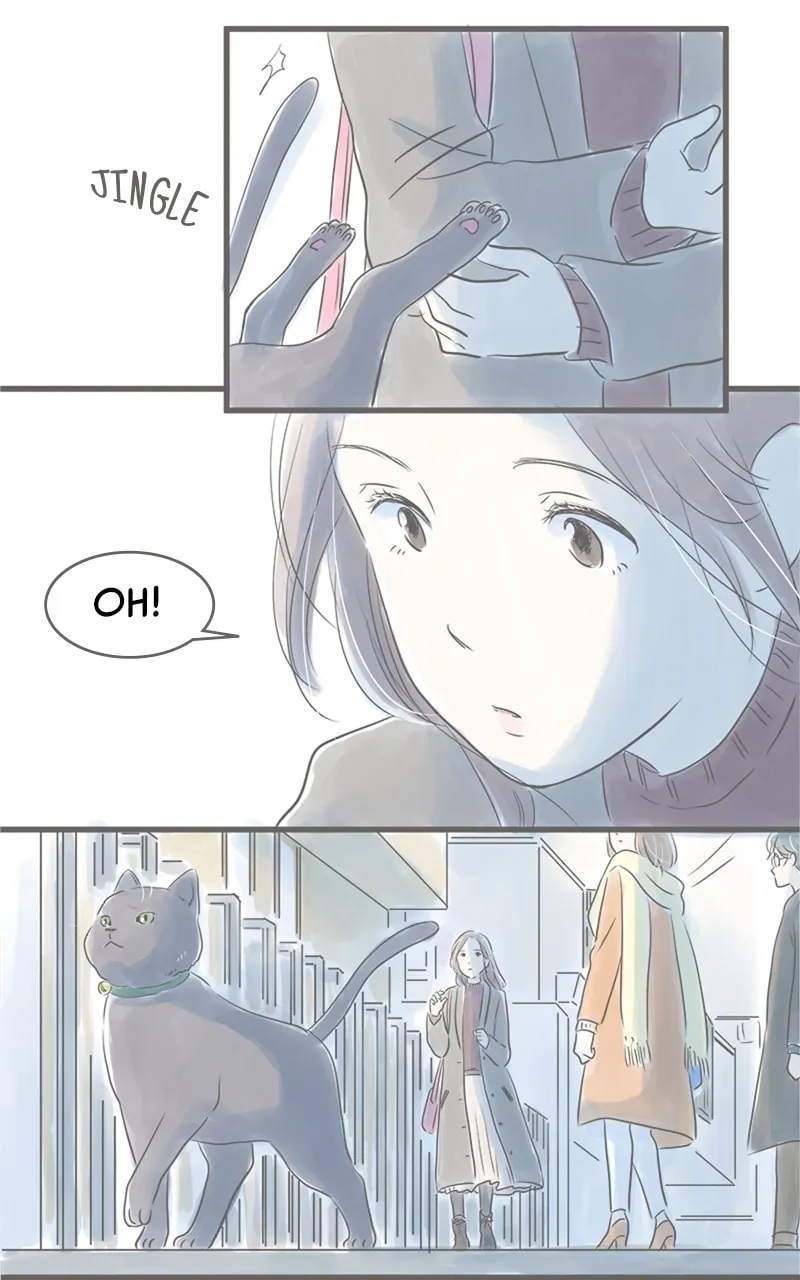 Read Amid the Changing Seasons chapter 12 image 3 on Lezhin
