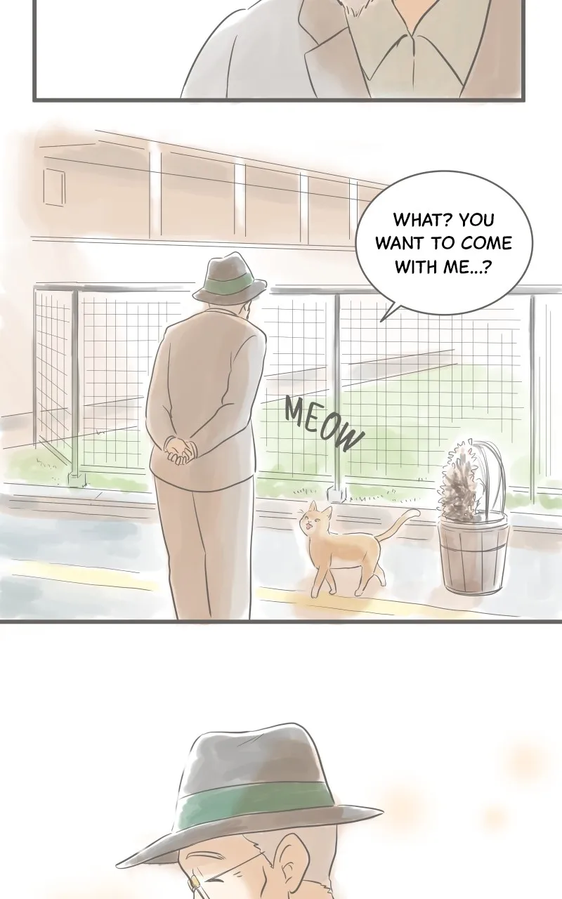 Read Amid the Changing Seasons chapter 4 image 34 on Lezhin