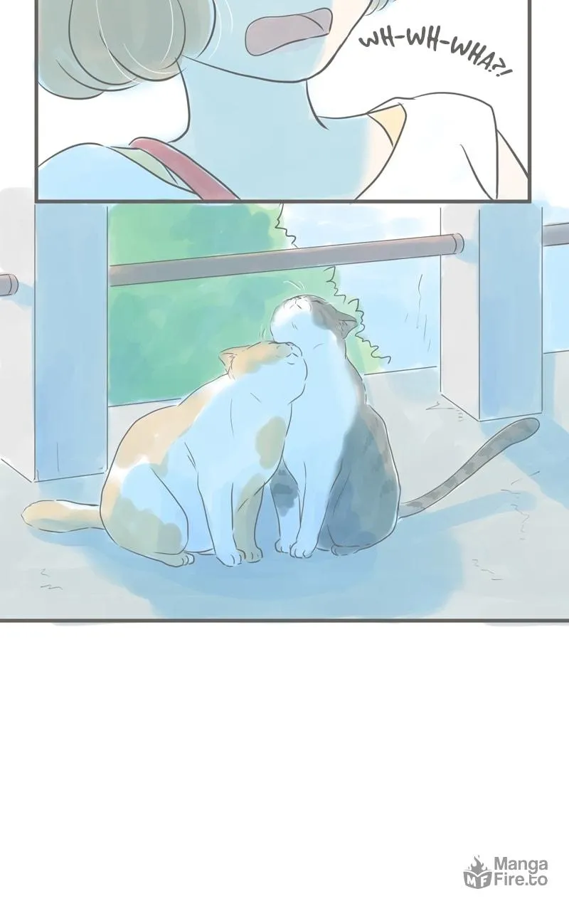 Read Amid the Changing Seasons chapter 42 image 32 on Lezhin