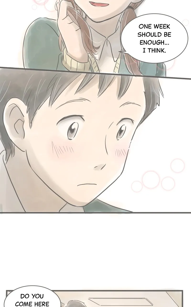 Read Amid the Changing Seasons chapter 7 image 14 on Lezhin