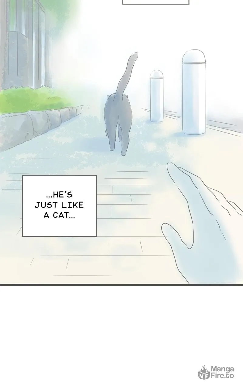 Read Amid the Changing Seasons chapter 82 image 14 on Lezhin