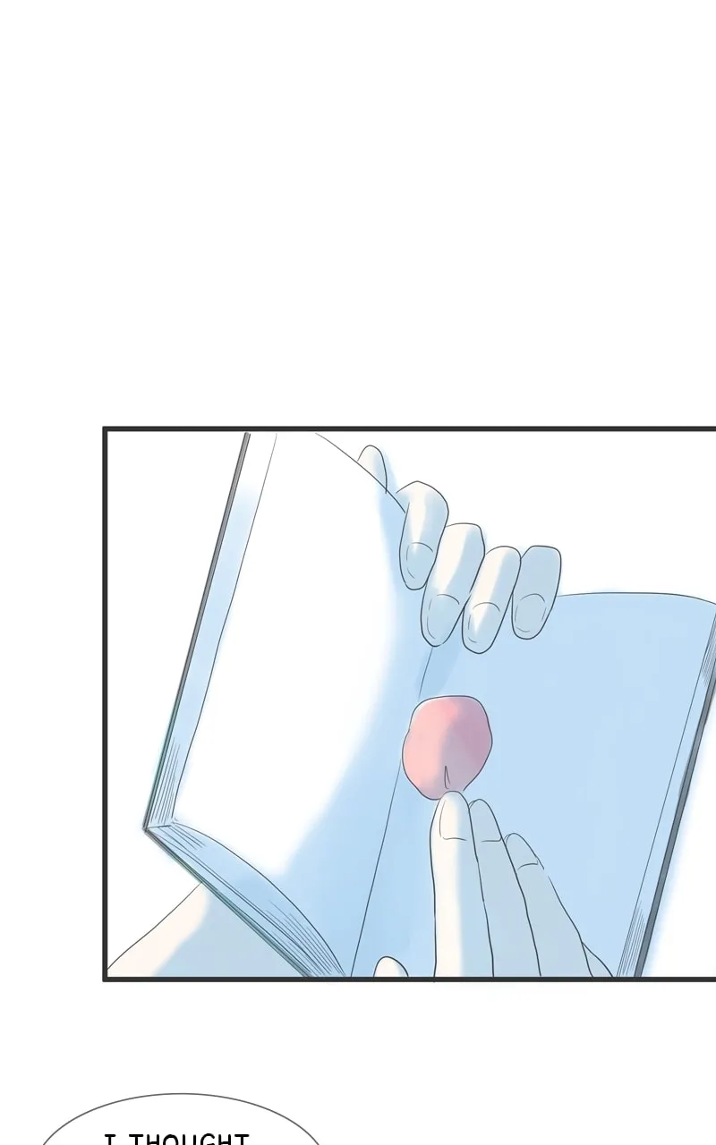 Read Amid the Changing Seasons chapter 99 image 18 on Lezhin