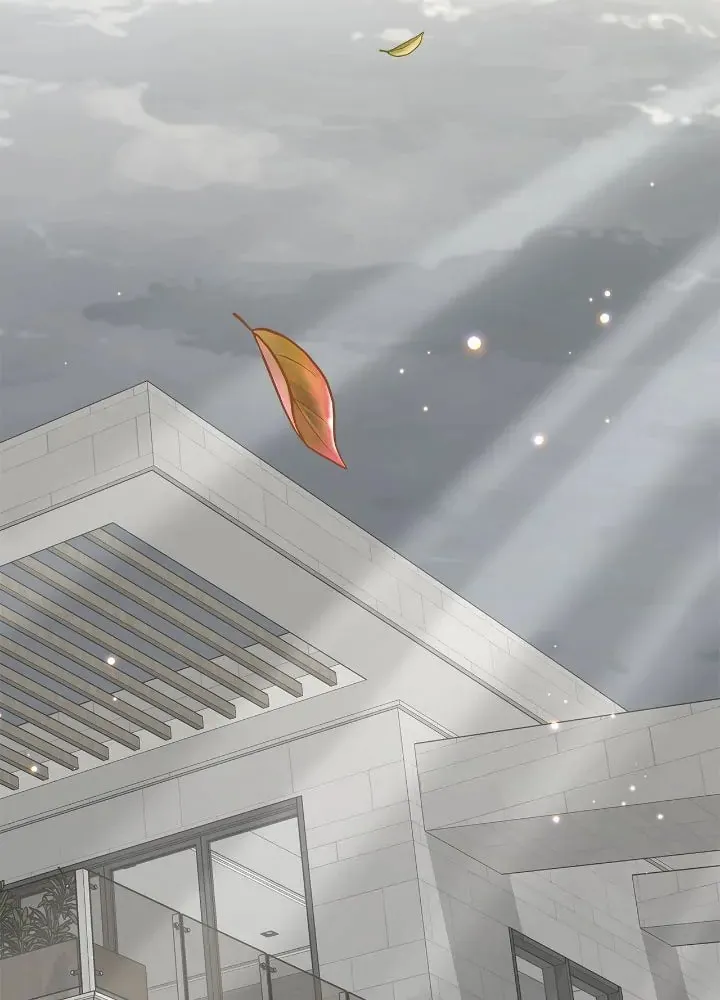 Read AMON: Unrelatable chapter 19 image 5 on Lezhin