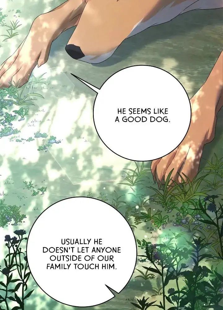 Read AMON: Unrelatable chapter 2 image 35 on Lezhin