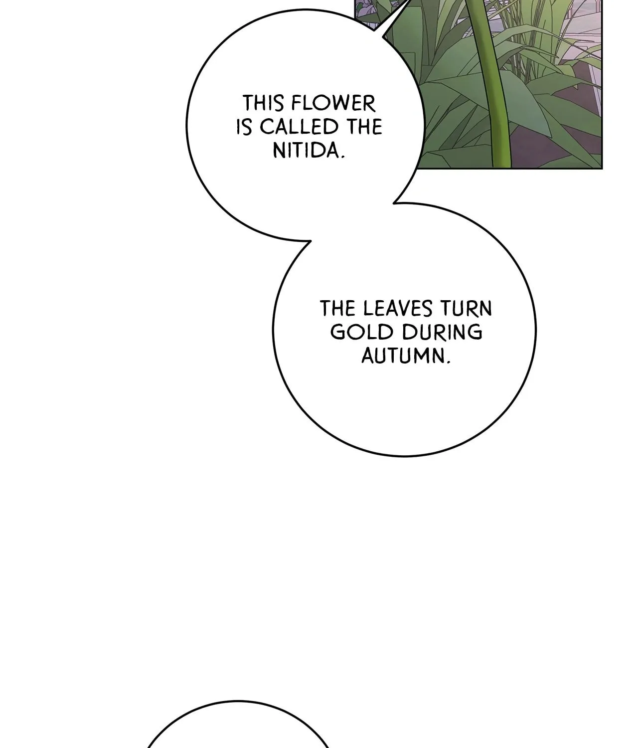 Read AMON: Unrelatable chapter 47 image 110 on Lezhin