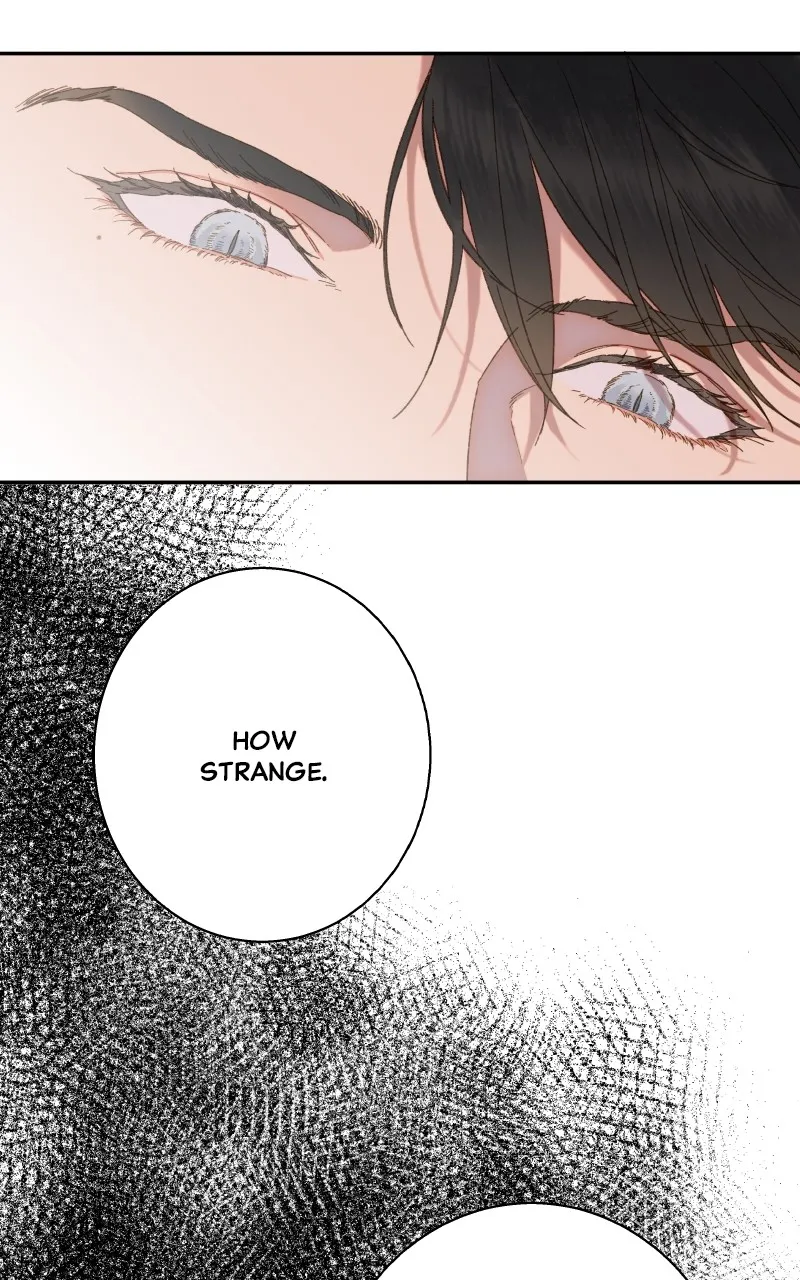 Read Amongst the Tainted chapter 4 image 69 on Lezhin
