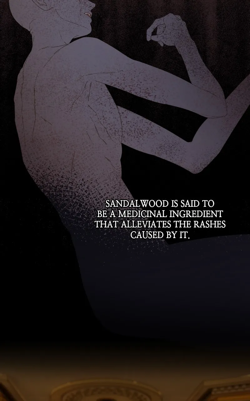 Read Amongst the Tainted chapter 8 image 46 on Lezhin