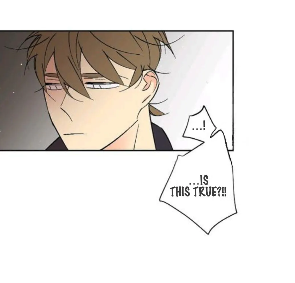 An Exclusive Contract Chapter 64 page 31 - 