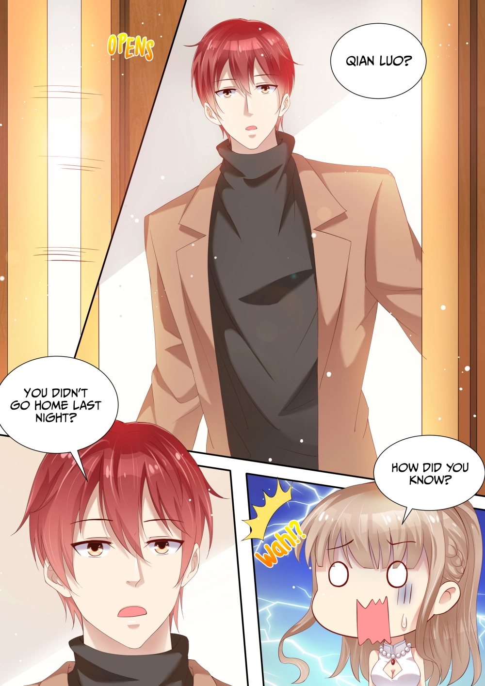 An Exorbitant Wife Chapter 3 page 3 - 