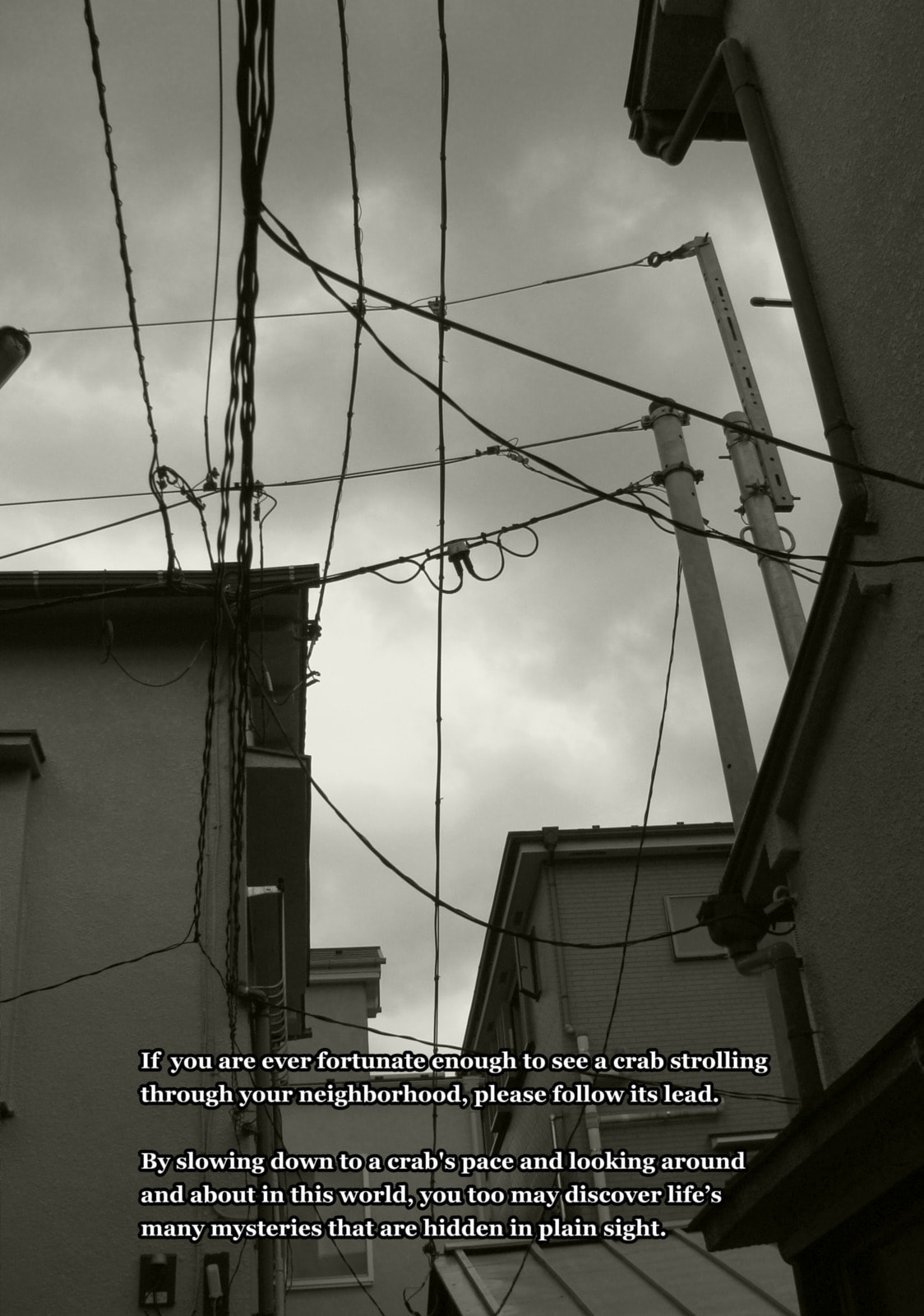 Read An Invitation from a Crab chapter 18 image 19 on Lezhin