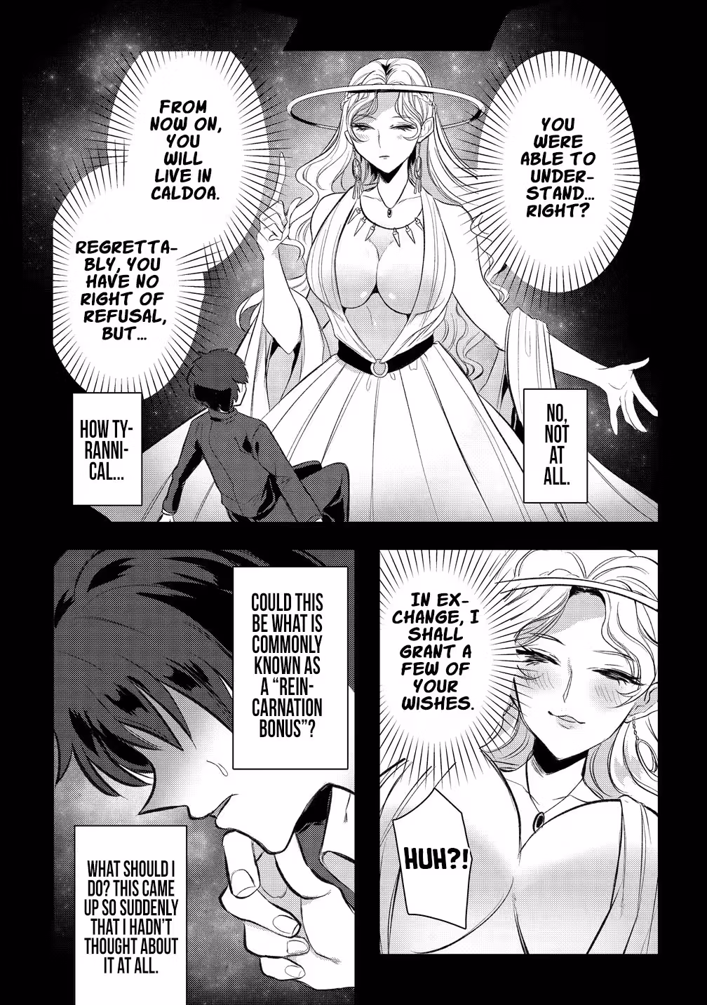 An Otherworld Development Chronicle Beginning With a Mishearing Chapter 1 page 43 - 