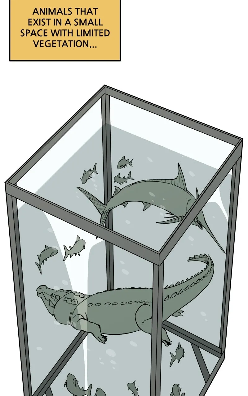 Ancient Animal Tales Chapter 10 page 64 - 