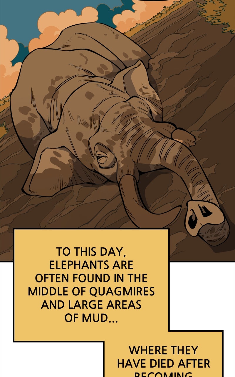 Ancient Animal Tales Ep. 27 - The Tyrant (8) page 18 - 