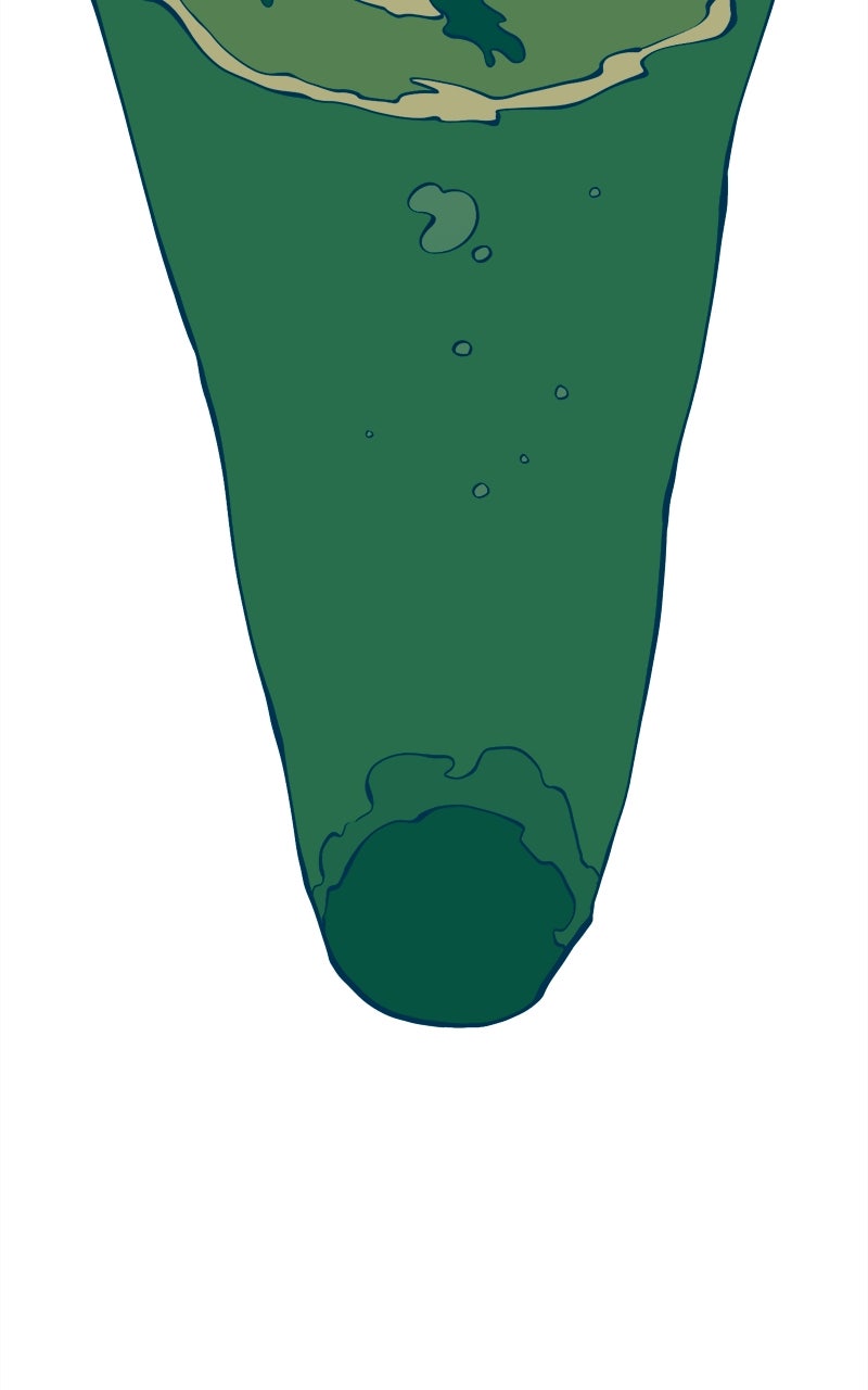 Ancient Animal Tales Ep. 41 - The Footprint Pond (1) page 87 - 