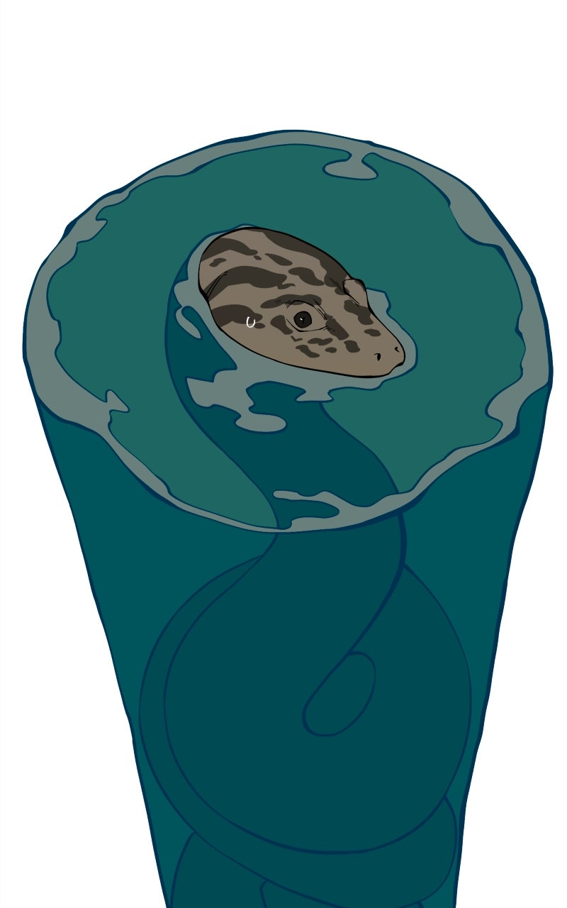 Ancient Animal Tales Ep. 42 - The Footprint Pond (2) page 98 - 
