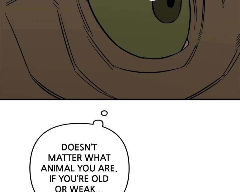 Ancient Animal Tales Chapter 49 page 146 - 