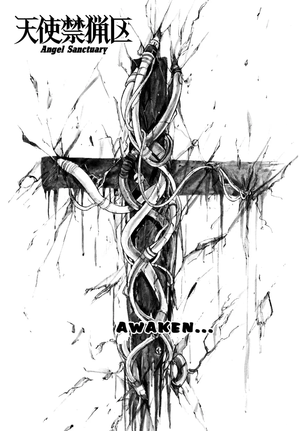 Read Angel Sanctuary chapter 1 image 0 on Lezhin