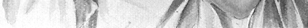 Read Angel Sanctuary chapter 14 image 1 on Lezhin