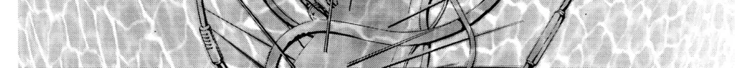 Read Angel Sanctuary chapter 86 image 3 on Lezhin