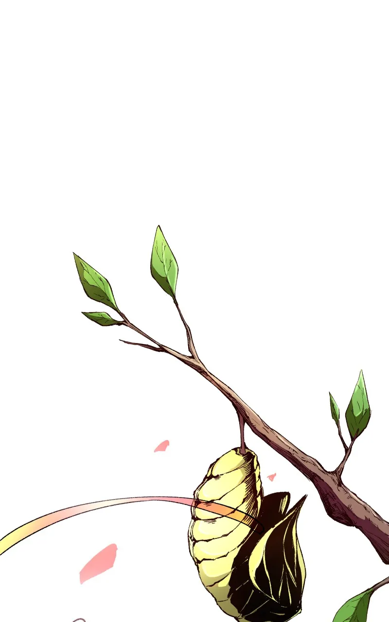 Read Angel Wings chapter 1 image 149 on Lezhin