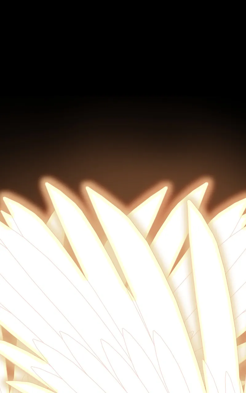 Read Angel Wings chapter 1 image 195 on Lezhin