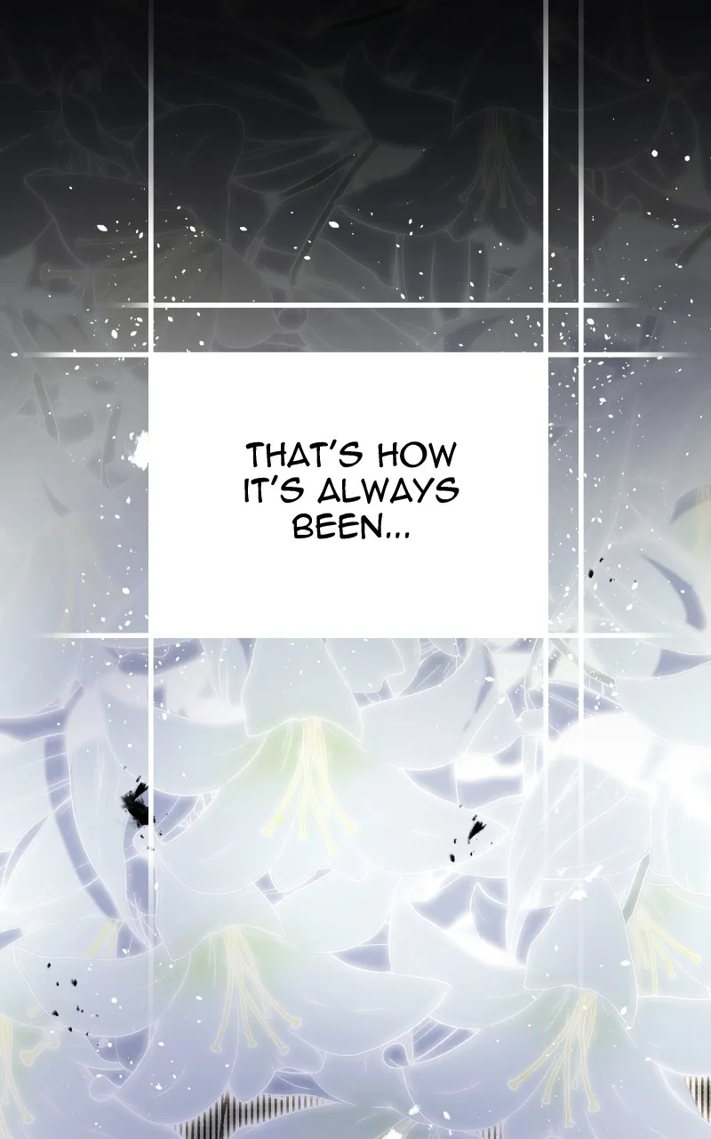 Read Angel Wings chapter 1 image 37 on Lezhin