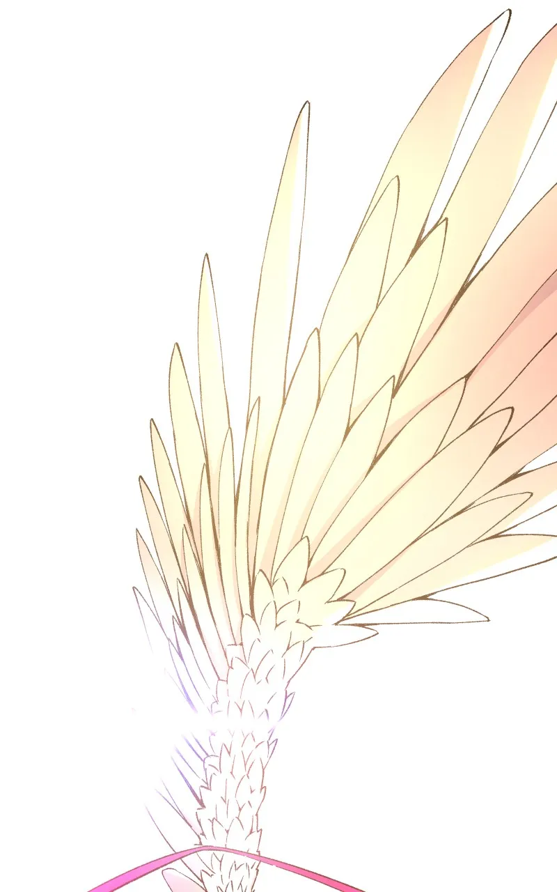 Read Angel Wings chapter 5 image 2 on Lezhin