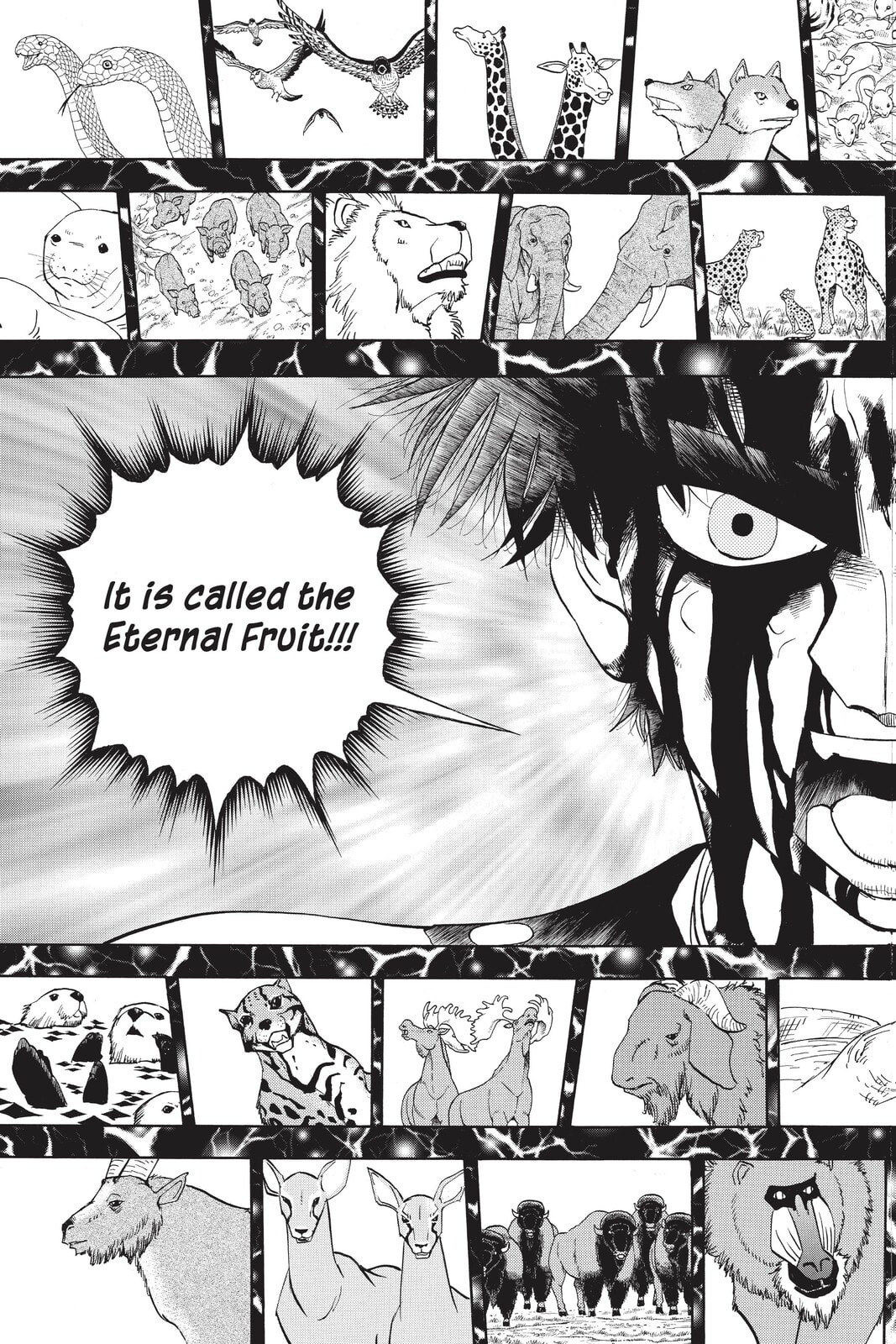 Read Animal Land chapter 52 image 22 on Lezhin