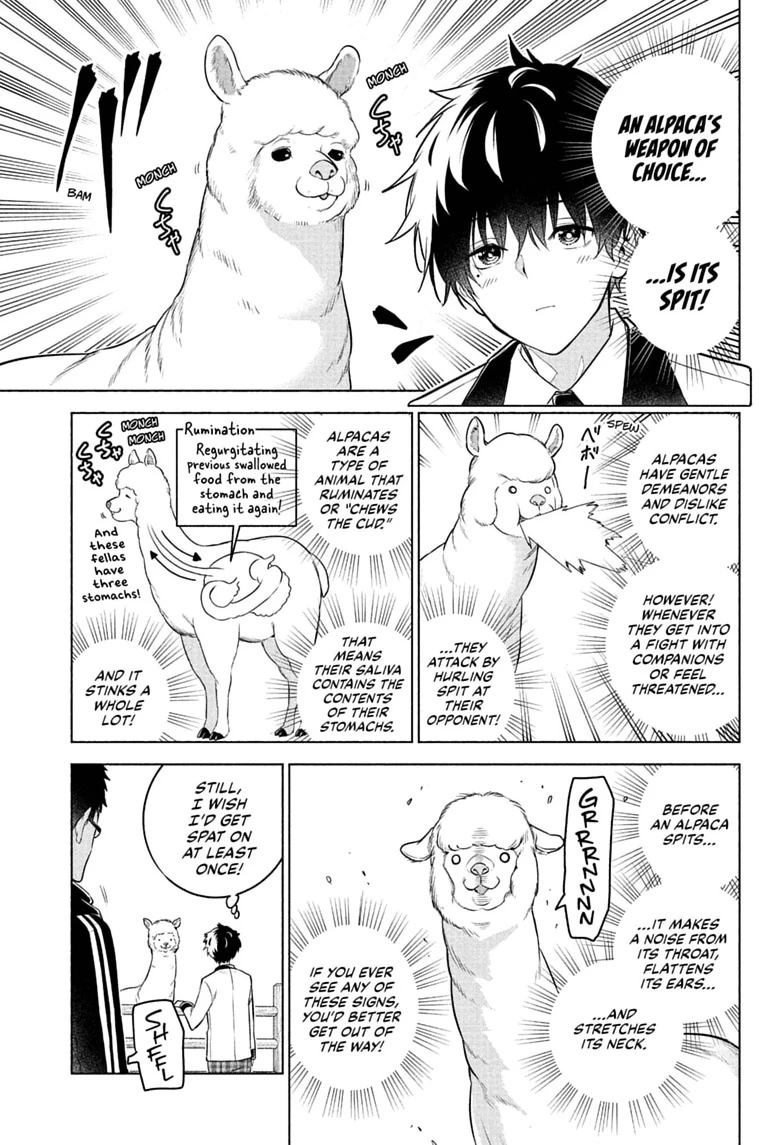 Read Animal Signal chapter 13 image 2 on Lezhin